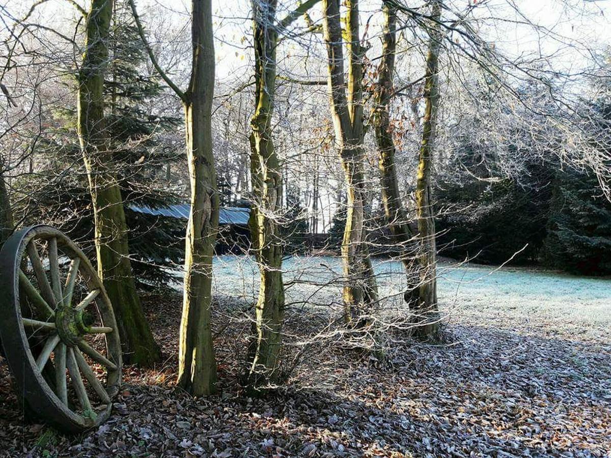 Zur Schanze Holtgast-Apen Zewnętrze zdjęcie